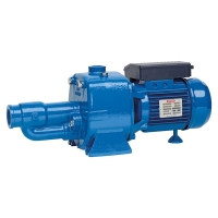 Pompe auto-amorçante CAM 150/200