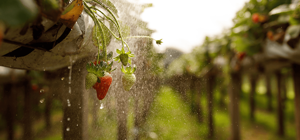 Professionnel de l'eau sur le terrain