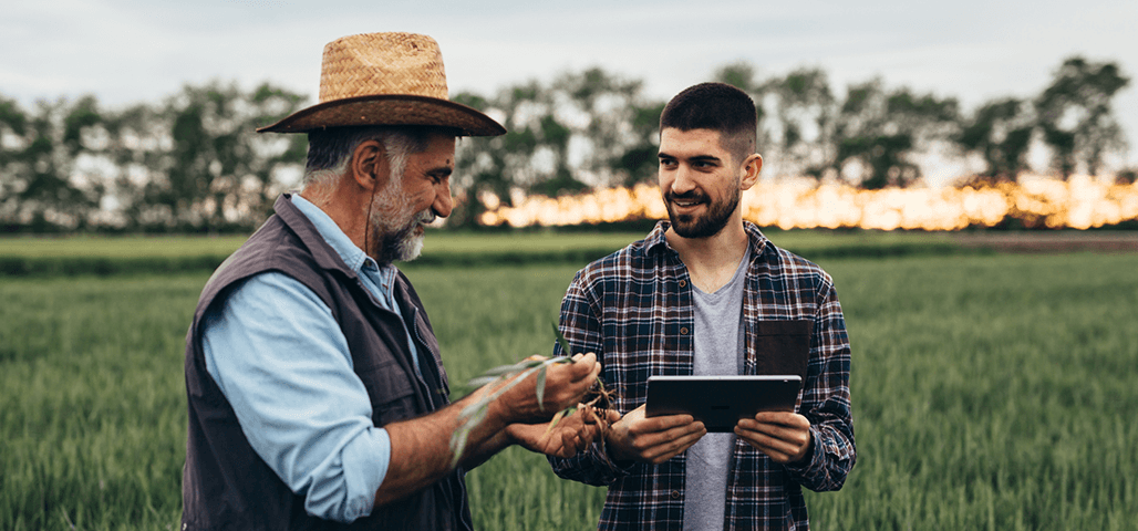 Assistance technique sur chantier : irrigation agricole, pompage, piscine