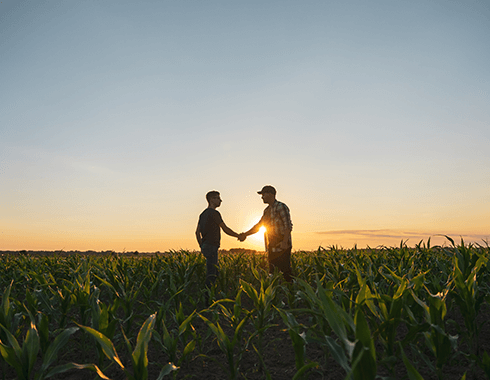 Transformation des aciers